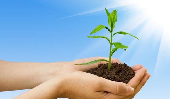 以诚为本赢在诚信9001EDX光谱仪在环境标准HJ 780 -2015——《土壤和沉积物 无机元素的测量波长色散X射线荧光光谱法》上的应用方案