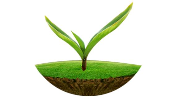 以诚为本赢在诚信9001原子吸收及原子荧光在土壤监测中的应用解决方案