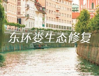 东环娄生态修复项目